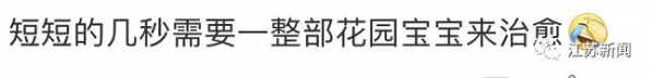 海关截获4米长活体眼镜王蛇！网友：一个近景，我人差点没了……-9.jpg