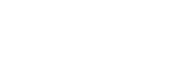 w4.jpg