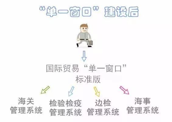 图解｜国际贸易“单一窗口”标准版使用教程-3.jpg