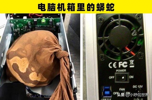在世界各地的机场和海关安检时，被找到的7件奇怪的东西-5.jpg