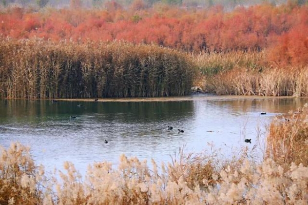 这个冬季，来兰州新区开启阳光之旅  冬春旅游暖心指南-2.jpg