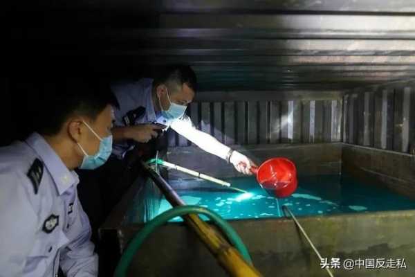【国门利剑2020】全国各地打击走私案件速览-2.jpg