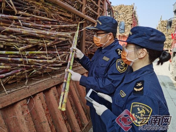昆明海关精细服务助力云南农产品进出口实现双增长-2.jpg