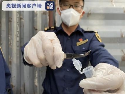 海关去年截获检疫性有害生物6.95万次-1.jpg
