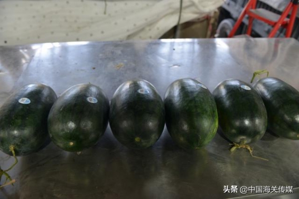 新春走基层 | 瞅瞅凭祥，中国最大的水果进出口陆路口岸之一-2.jpg