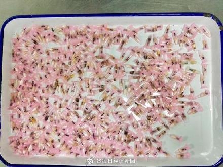 上海海关查货406只活体蚂蚁，包裹申报名为“牙科耗材”-1.jpg