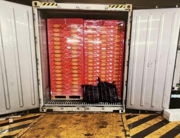 香港海关破获逾亿港元毒品案 暂拘捕一名涉案男子-2.jpg