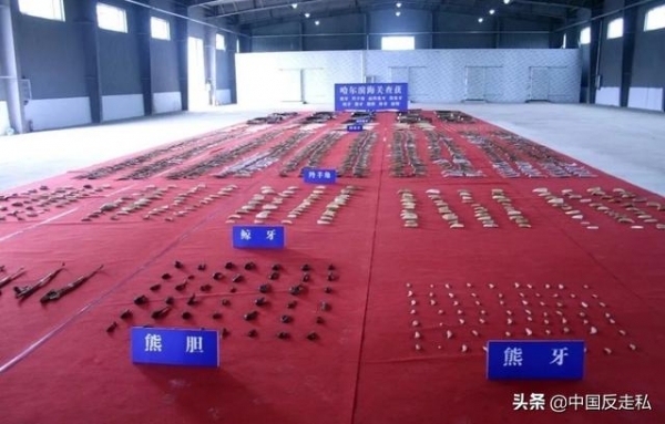 【中国反走私】哈尔滨海关召开2021年缉私工作会议-6.jpg