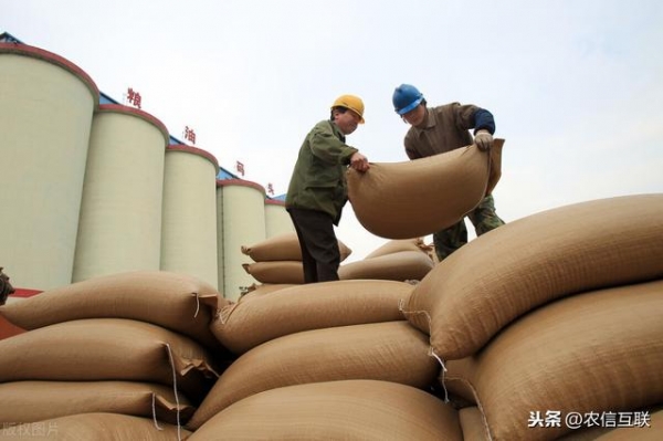 海关：1-2月进口大豆减少！二季度即将“缺豆”？中国大豆涨价-3.jpg