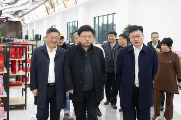 南通海关党委书记胡斌率队调研保税物流中心-1.jpg