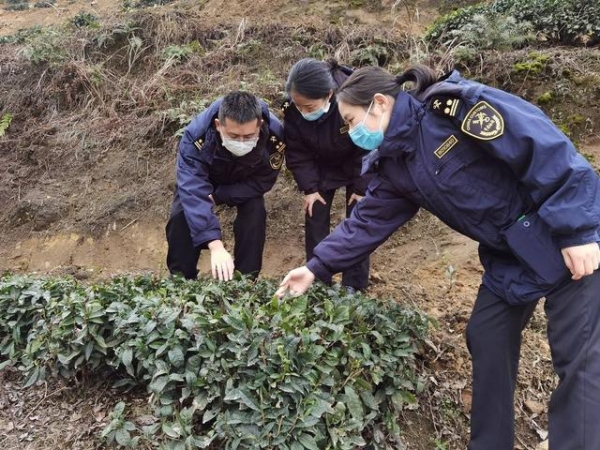 2021年重庆外贸进出口实现“开门红”总值超千亿元 同比增长7成-1.jpg