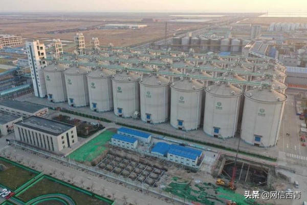 天津港保税区：建京津冀最大的浅圆仓群-1.jpg