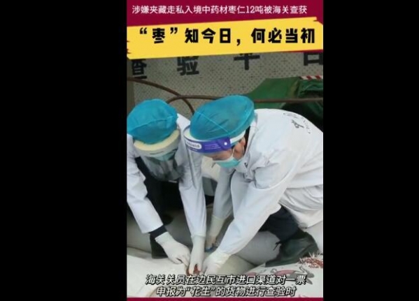 冒充花生企图蒙混过关 昆明海关查获走私中药材枣仁12吨-1.jpg