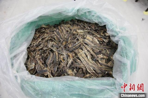 南宁海关查获涉嫌走私海马干7535尾-5.jpg