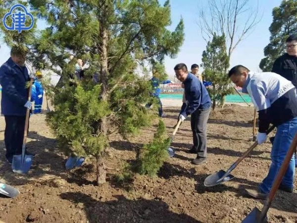 【媒体关注】保税区修复海洋岸线生态 为城市“绿肺”增氧-2.jpg