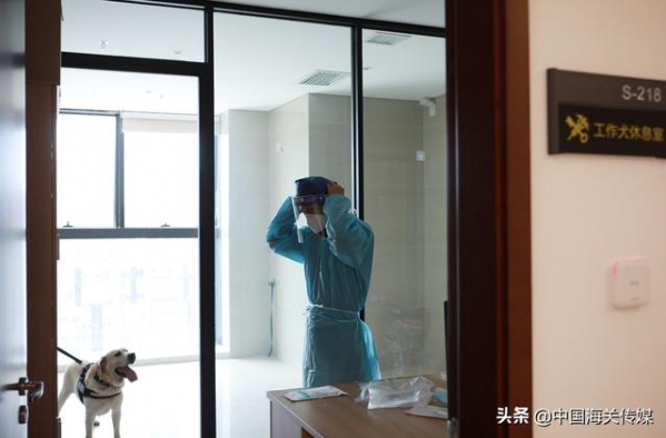 “汪星人”艾奇，你工作的样子好帅-2.jpg