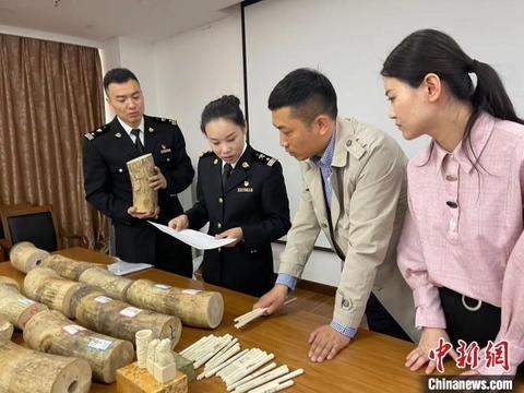 南京海关移交一批罚没濒危野生动植物及其制品-3.jpg