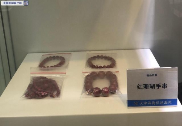 多肉植物不能随意携带进境 天津海关通报走私案例-3.jpg