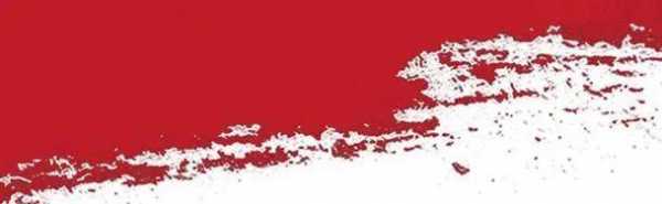 2015年4月16日 重庆两路寸滩保税港区贸易功能区正式启动-3.jpg