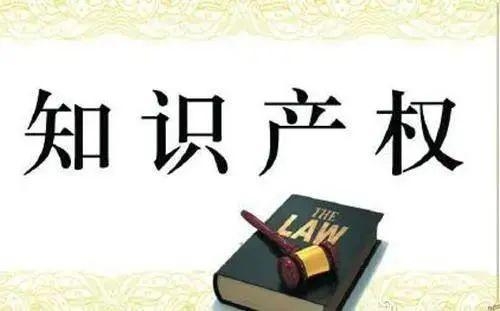 【知识产权保护】收到海关确认知识产权状况通知书怎么办？-9.jpg