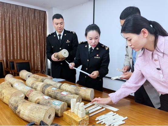 南京海关移交288公斤象牙及其制品-1.jpg