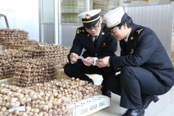 【进出口食品安全】黑蒜诞生记-13.jpg