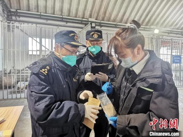 一季度甘肃对“一带一路”沿线国家进出口同比增长近六成-1.jpg