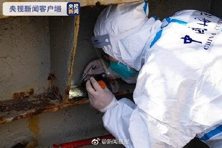 南通海关截获活体剧毒蜘蛛“寡妇蛛”及大量新鲜蜘蛛卵囊-2.jpg