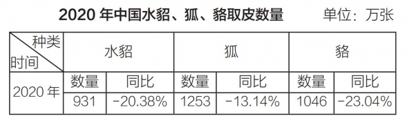 广东海关查获1079张貂皮制品，水貂市场“出圈”，谁才是受害者？-6.jpg