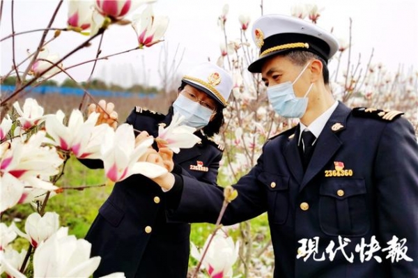 助力打造江苏对外开放新优势，南京海关集成推出100条服务举措-3.jpg