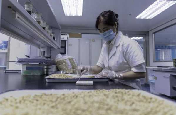 织密国门生物安全防护网，深圳海关截获有害生物531种16773次-2.jpg