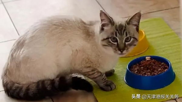 天津猫粮进口报关怎么弄-2.jpg