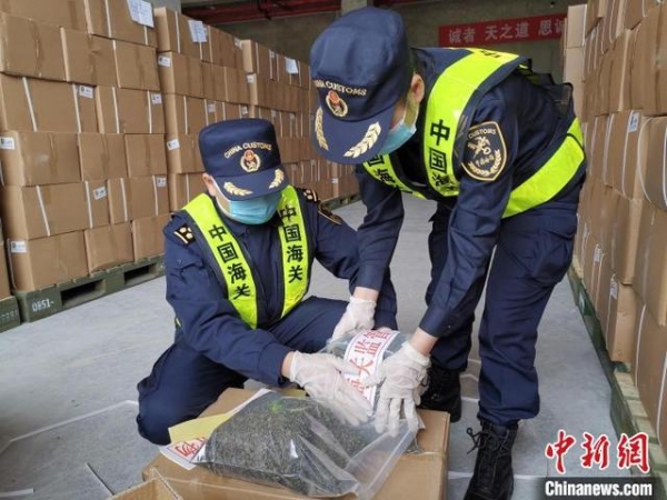 贵州一季度对RCEP成员国进出口贸易37.8亿元-1.jpg