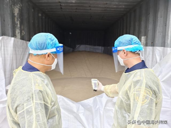 湛江海关查获1006吨放射性超标近7倍的进口锆英砂-1.jpg