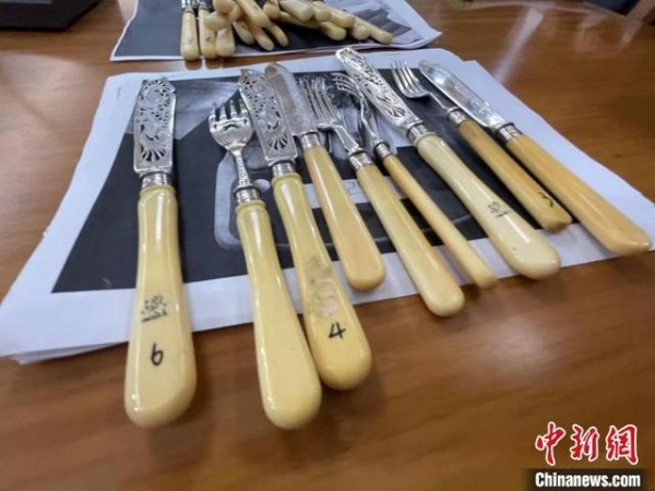 南京海关移交一批罚没濒危野生动植物及其制品-2.jpg