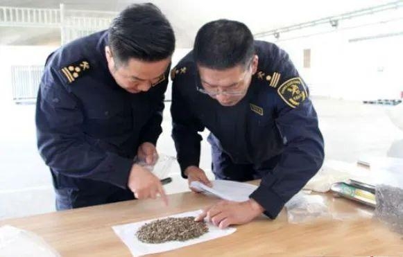 【动植物检疫】进境种苗那些事儿-5.jpg