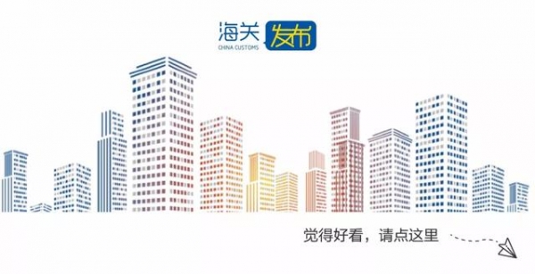 海关打击毒品走私十大典型案例-12.jpg